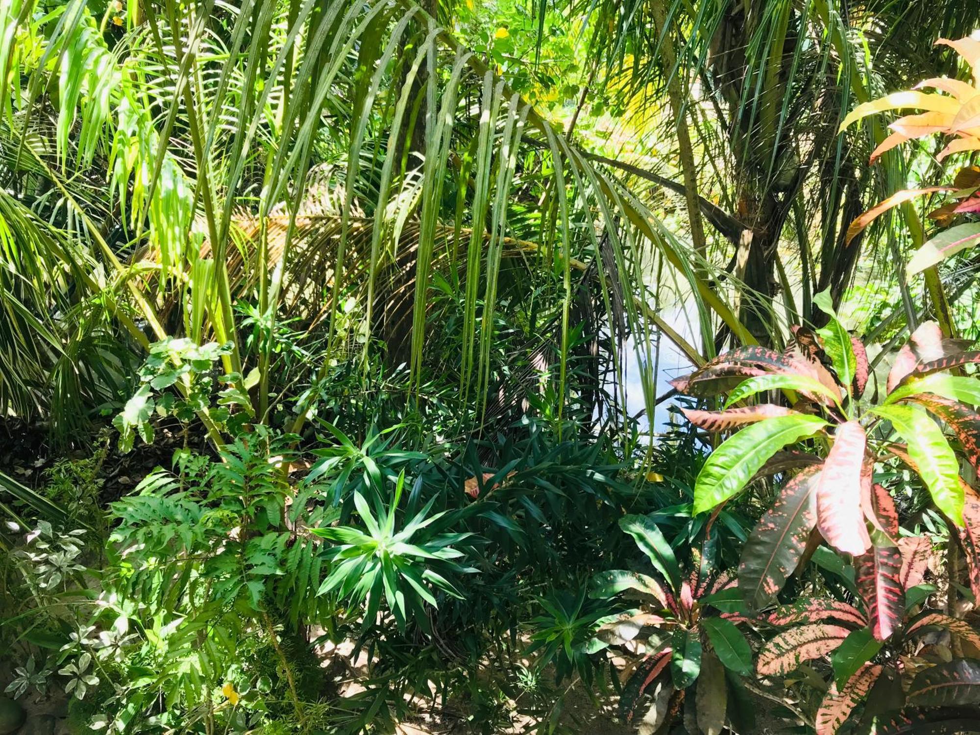 Flora&Fauna Mirissa Exterior foto