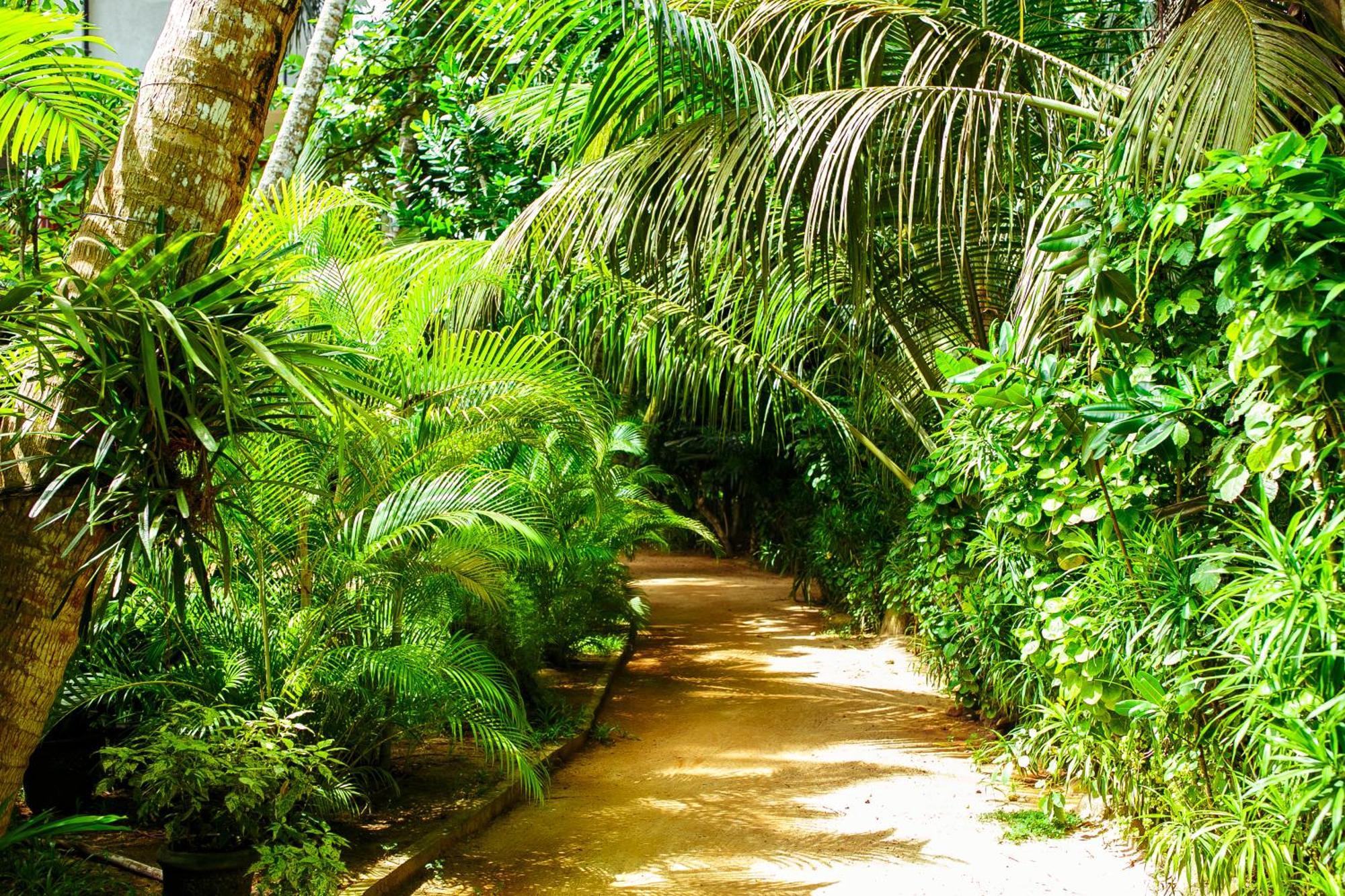Flora&Fauna Mirissa Exterior foto