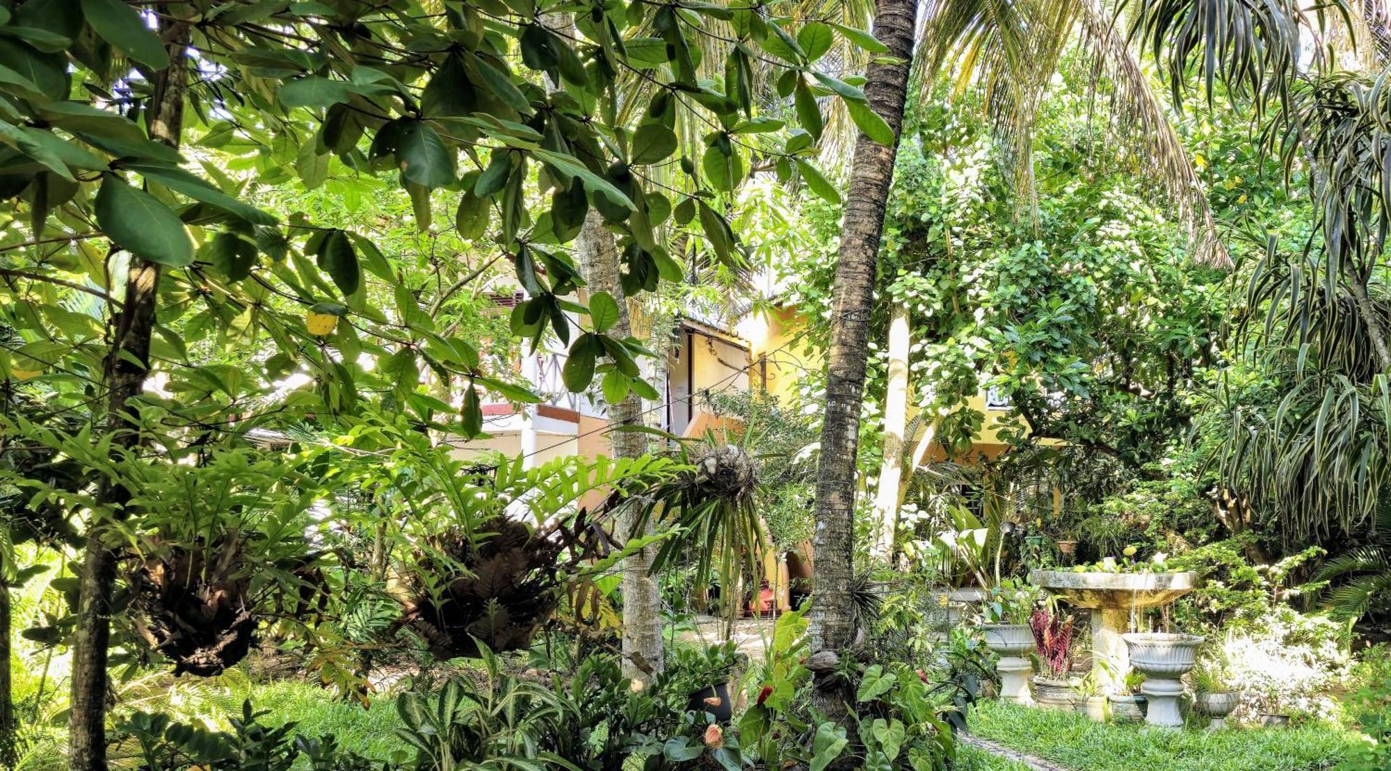 Flora&Fauna Mirissa Exterior foto
