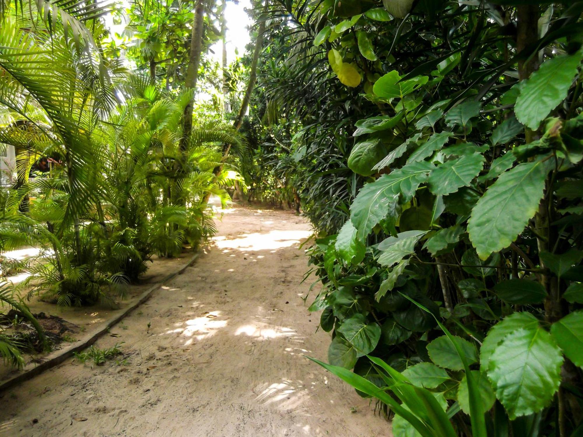 Flora&Fauna Mirissa Exterior foto