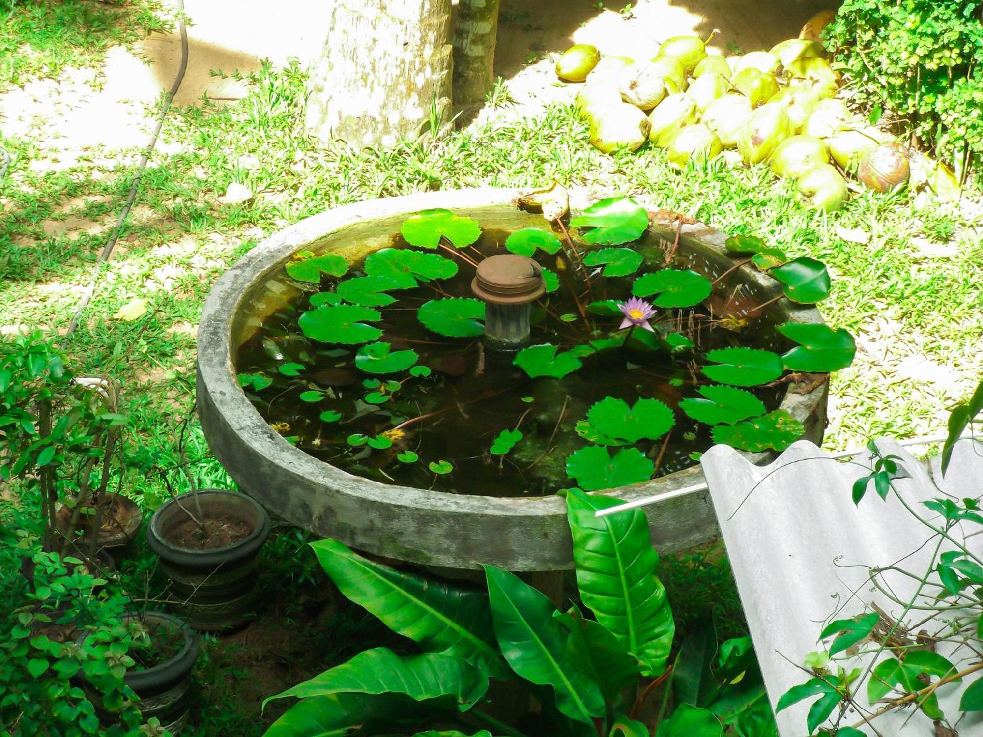 Flora&Fauna Mirissa Exterior foto